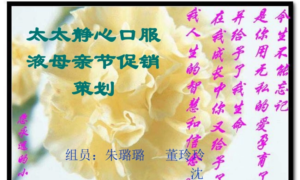 太太静心口服液母亲节促销策划案