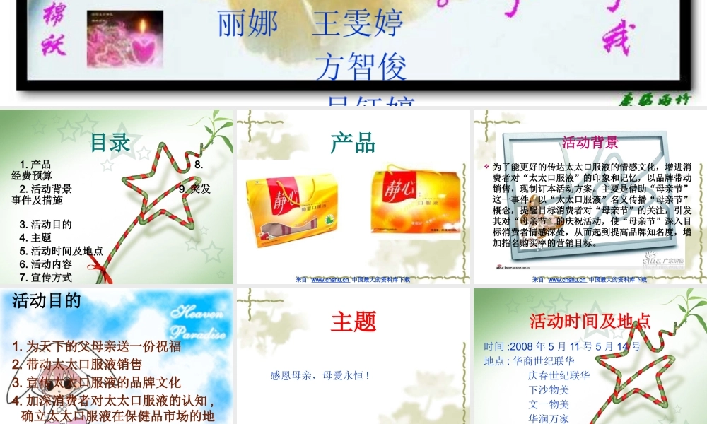 太太静心口服液母亲节促销策划案