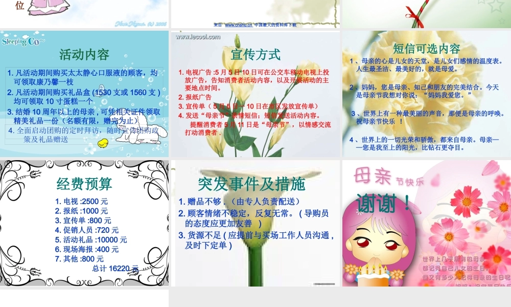 太太静心口服液母亲节促销策划案