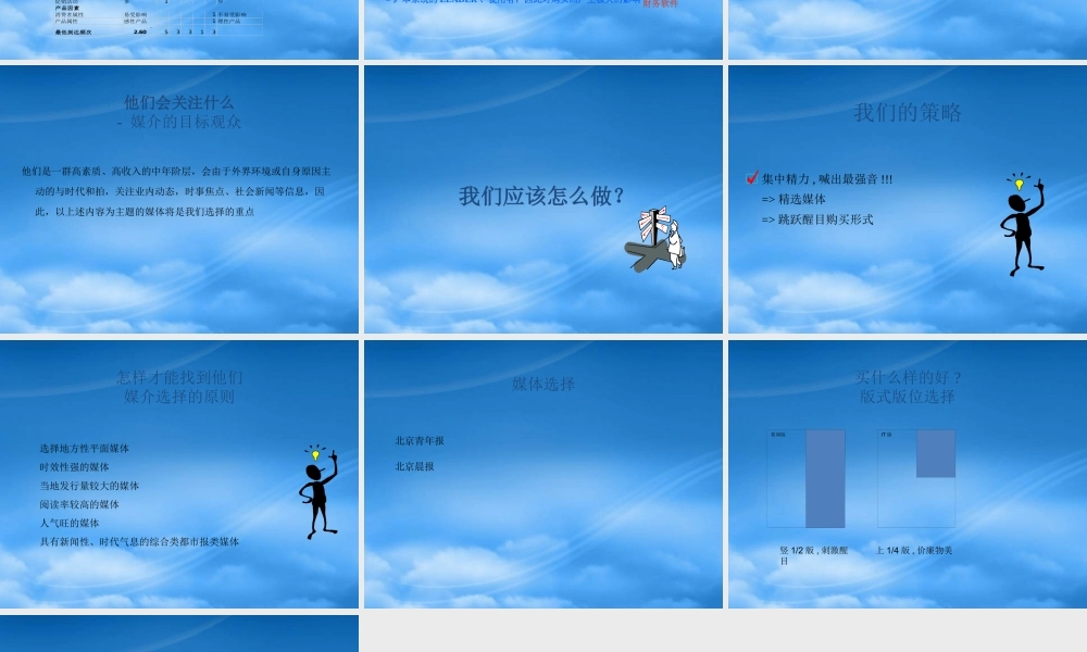 媒介策划_金蝶软件媒介策略(PPT13)