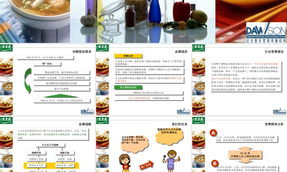 太太乐调味品年度推广方案