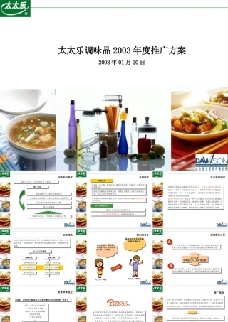 太太乐调味品年度推广方案