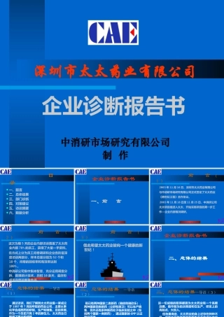 太太药业公司企业诊断报告书
