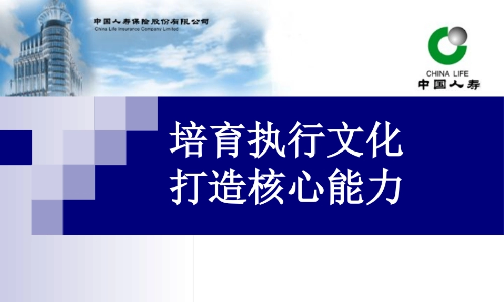 培育执行文化,打造核心能力(胡旭升)