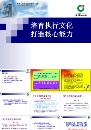 培育执行文化,打造核心能力(胡旭升)