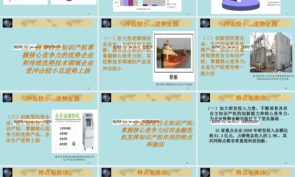 培育自主知识产权核心竞争力