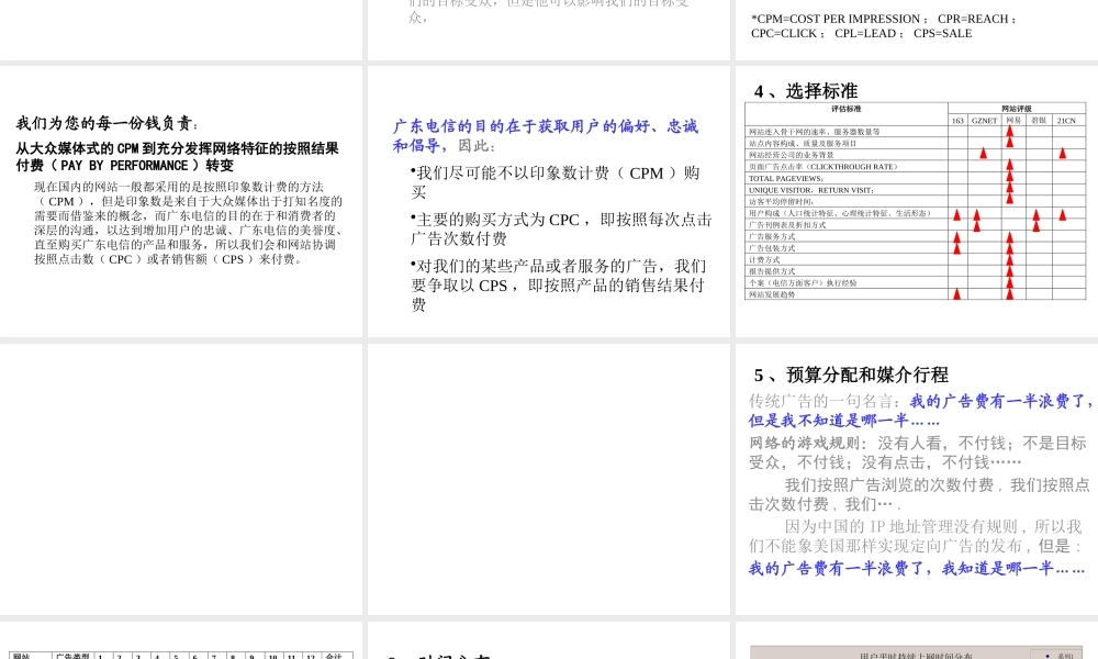 媒介策划_网络媒介计划1(1)