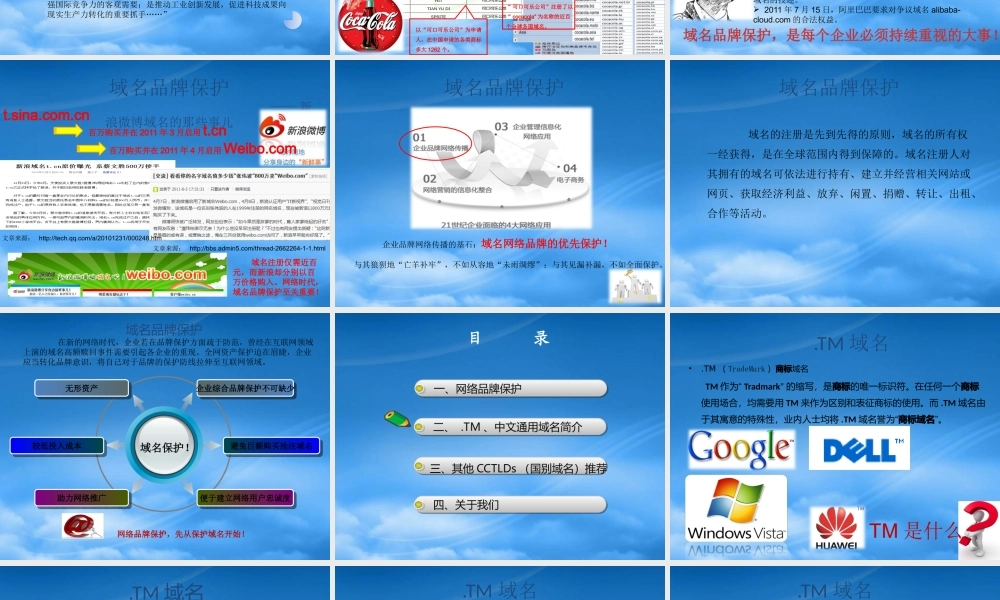 域名品牌保护介绍(PPT 64页)