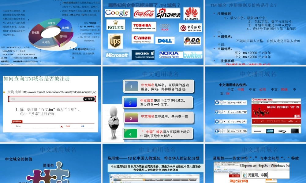 域名品牌保护介绍(PPT 64页)