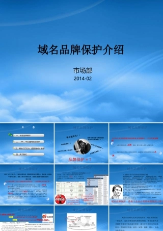 域名品牌保护介绍(PPT 64页)