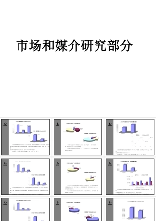 媒介策划_移动市场和媒介研究部分