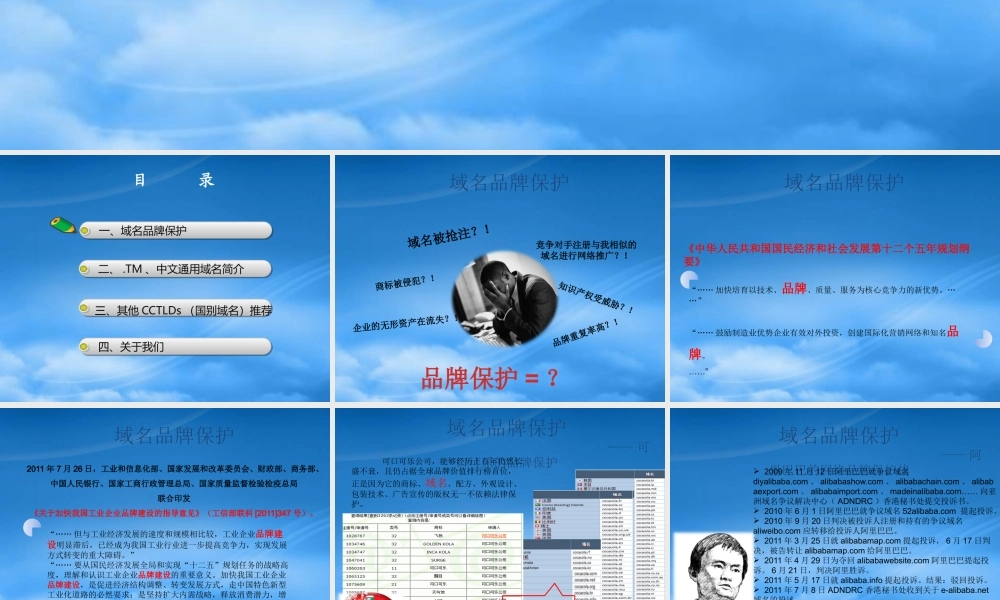 域名品牌保护介绍