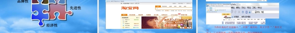 域名品牌保护介绍