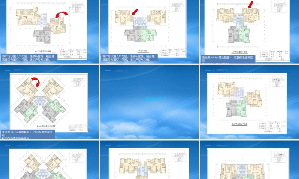 域熙岸海居生活项目规划设计汇报_46p_总体概念布局