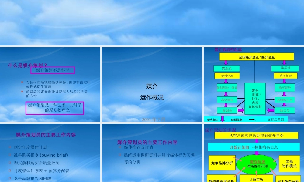 媒介策划的步骤与策略