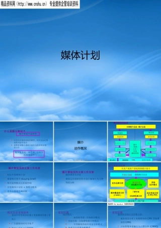 媒介策划的步骤与策略