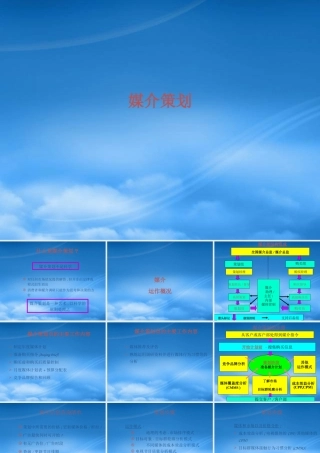 媒介策划的技巧与策略