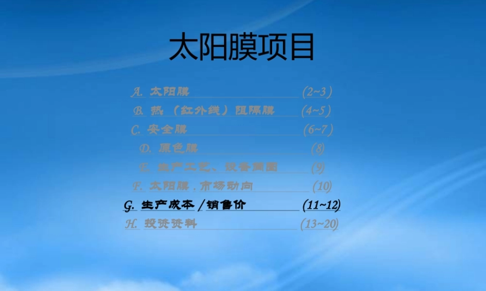 太阳膜项目可行性报告
