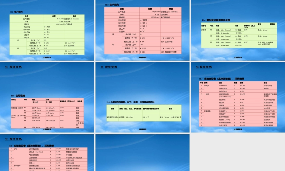 太阳膜项目可行性报告