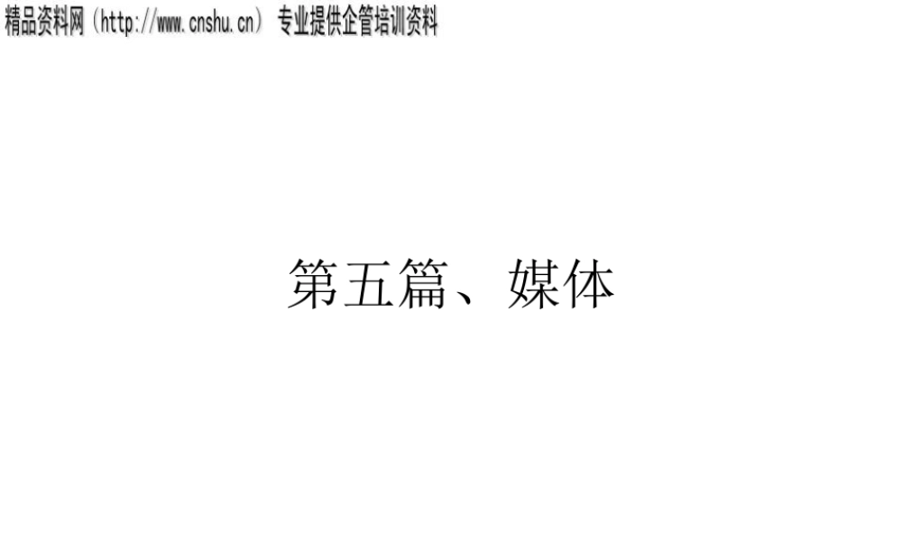 媒介策划过程研究报告