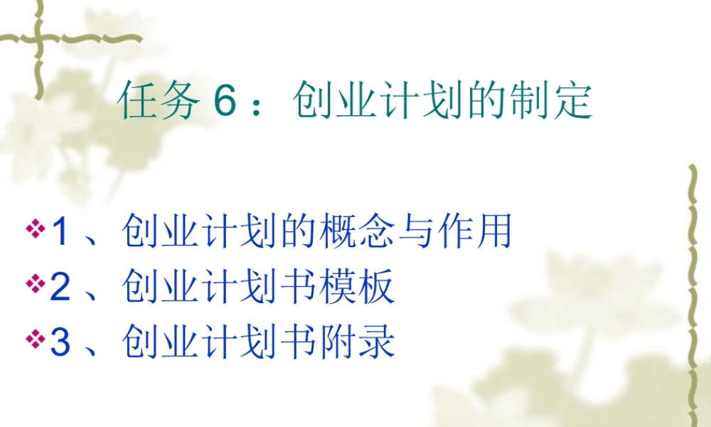 太阳能光伏发电装置的开发与推广商业计划书