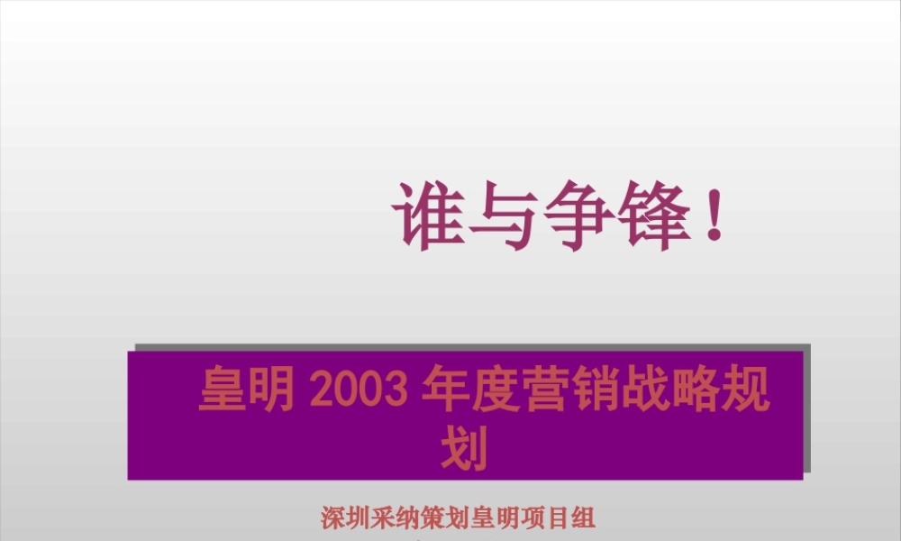 太阳能年度营销战略规划