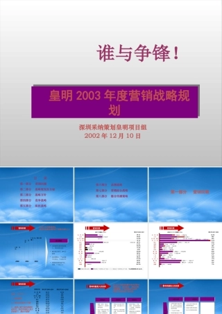 太阳能年度营销战略规划