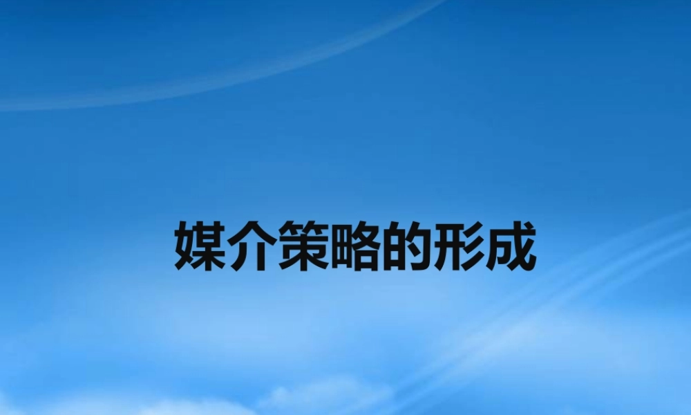媒介策略的形成培训教材