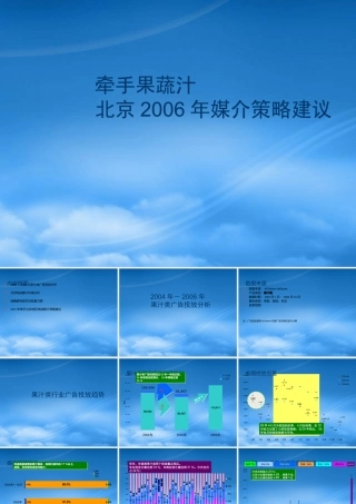 媒介策略建议书