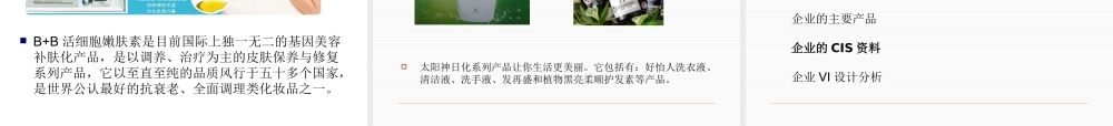 太阳神企业形象分