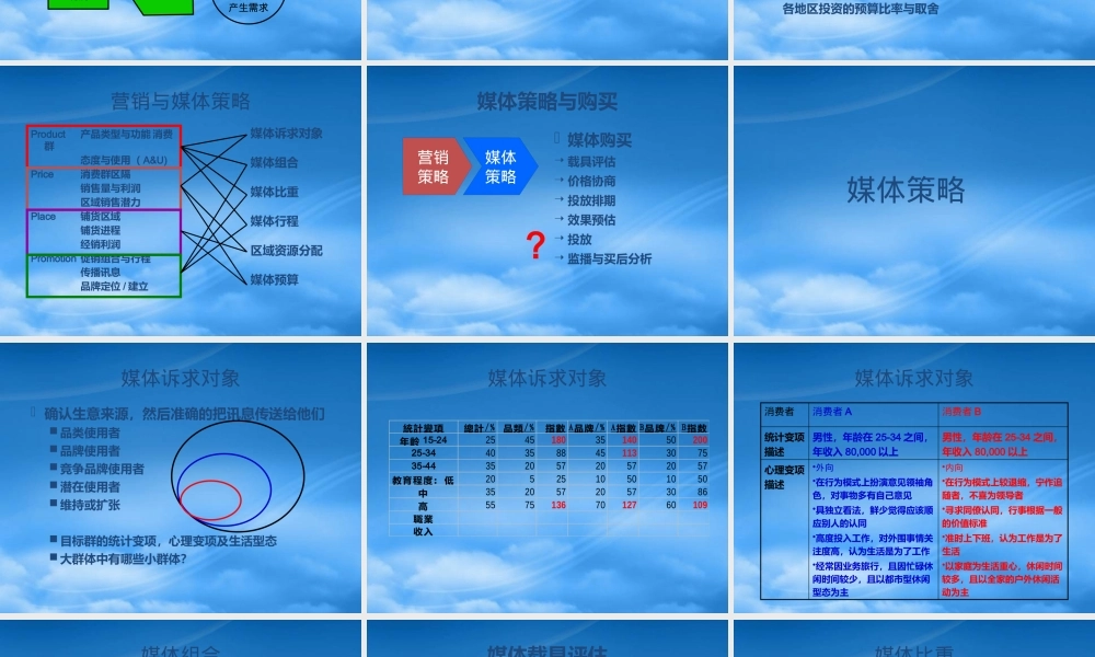 媒介策略与整合传播方案