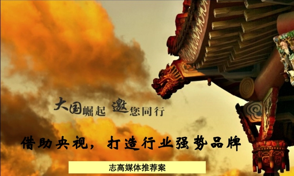 太阳雨太阳能行业投放分析