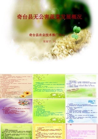 奇台县无公害蔬菜发展概况