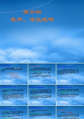 媒介的竞争成长战略课件