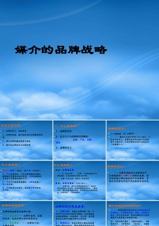 媒介的品牌战略