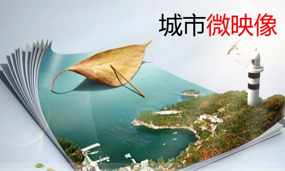 奇艺出品《城市微映像》招商方案