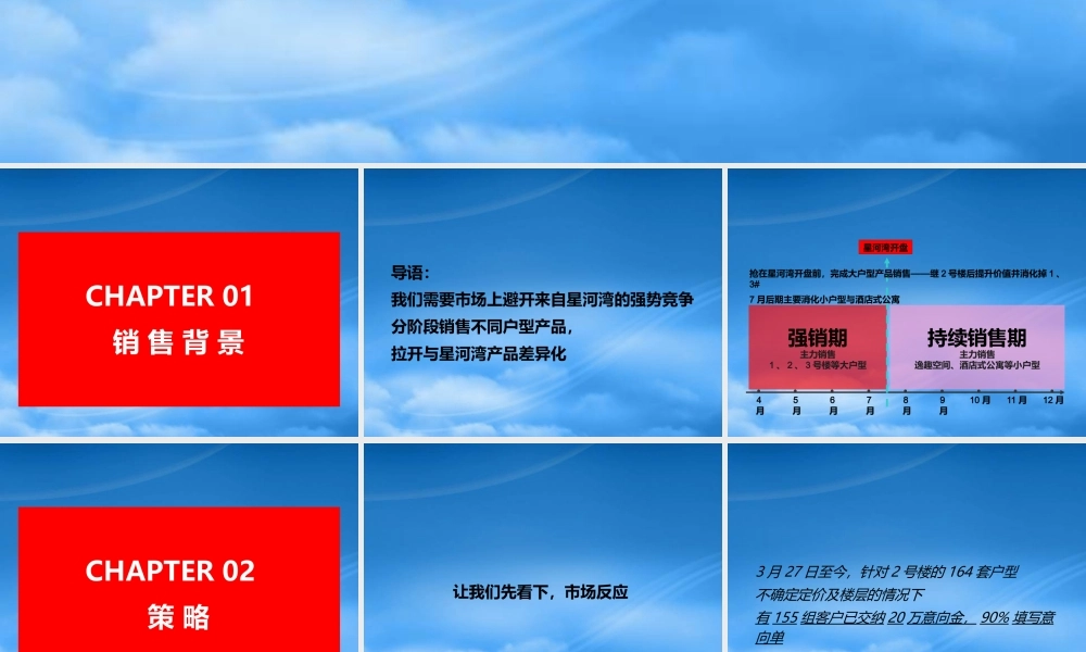 太原万国城整合策略暨行动计划教材