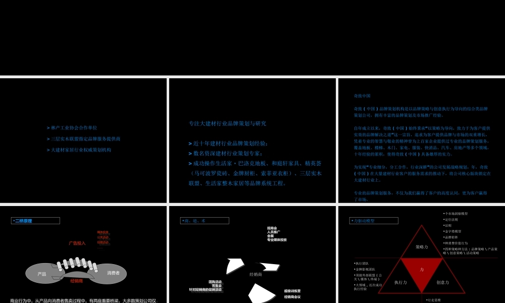 奇致家居品牌策划机构版推介256p(PPT256页)