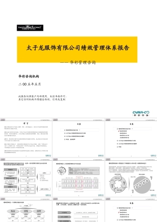 太子龙服饰有限公司绩效管理体系报告