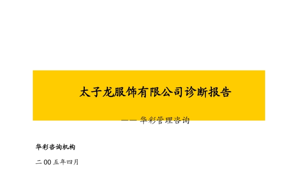 太子龙服饰有限公司项目诊断报告书