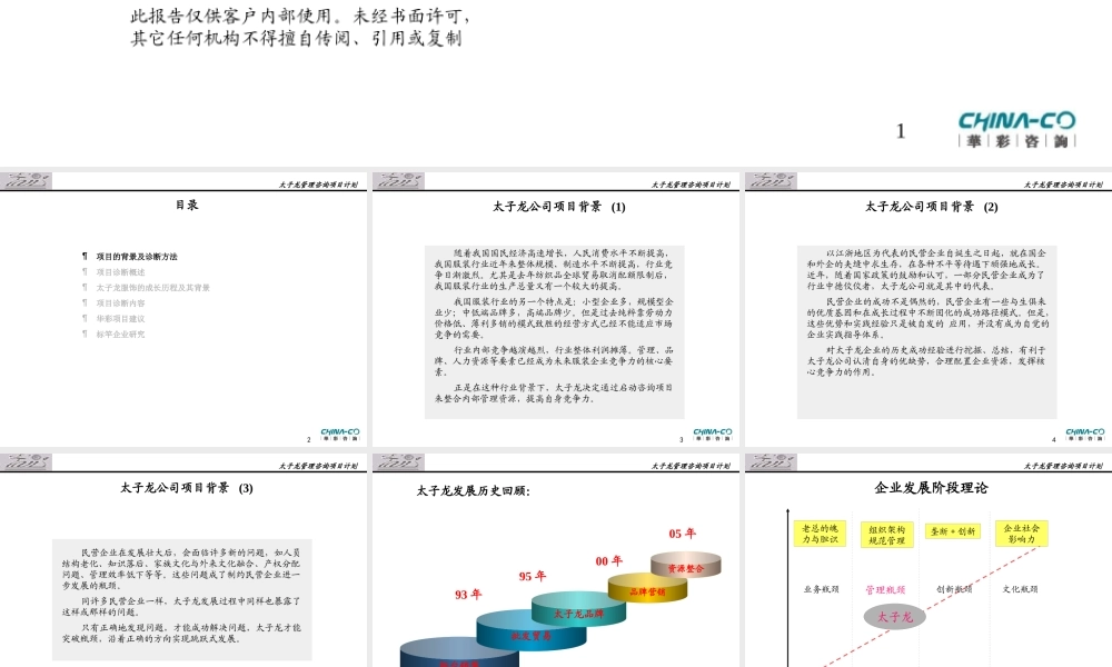 太子龙服饰有限公司项目诊断报告书