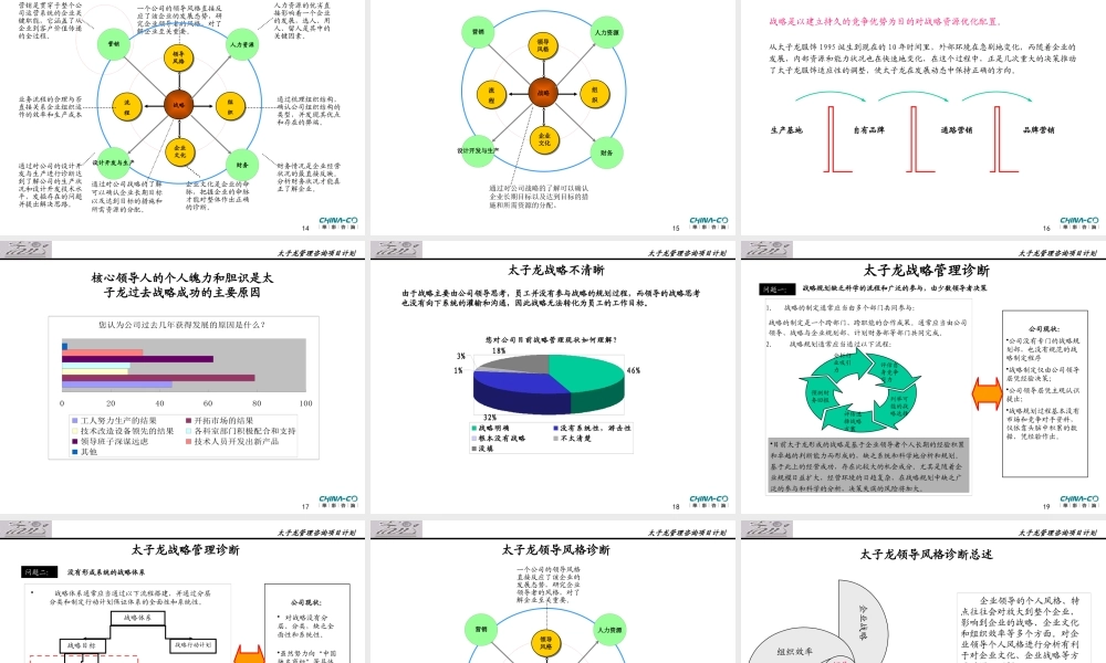 太子龙服饰有限公司项目诊断报告书