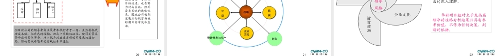 太子龙服饰有限公司项目诊断报告书