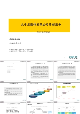 太子龙服饰有限公司项目诊断报告书