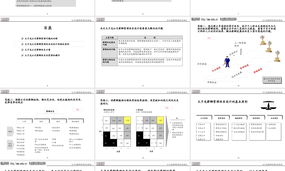 太子龙服饰有限公司薪酬管理体系报告