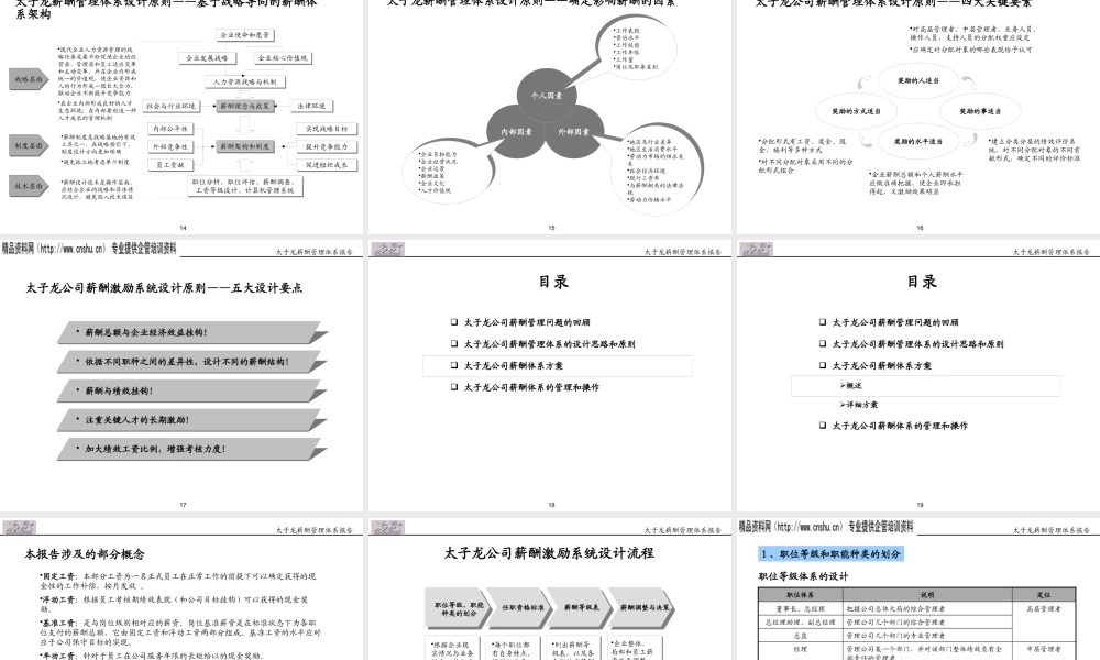 太子龙服饰有限公司薪酬管理体系报告