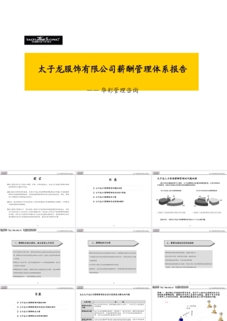 太子龙服饰有限公司薪酬管理体系报告