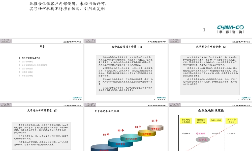 太子龙服饰有限公司诊断报告