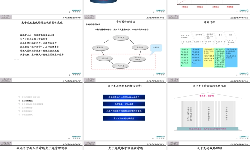 太子龙服饰有限公司诊断报告