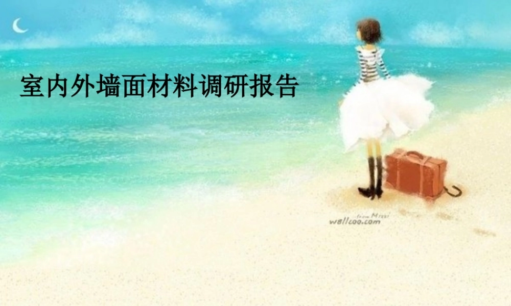 墙面调查报告